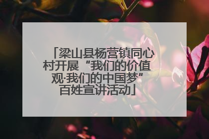 梁山县杨营镇同心村开展“我们的价值观·我们的中国梦”百姓宣讲活动