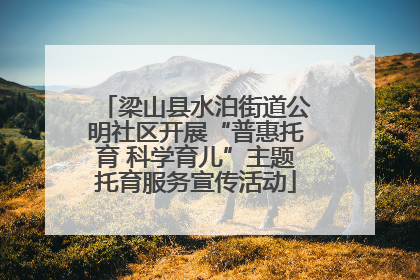 梁山县水泊街道公明社区开展“普惠托育 科学育儿”主题托育服务宣传活动