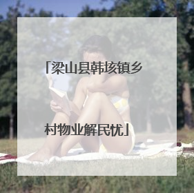梁山县韩垓镇乡村物业解民忧