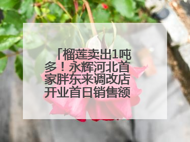 榴莲卖出1吨多！永辉河北首家胖东来调改店开业首日销售额同比增10倍