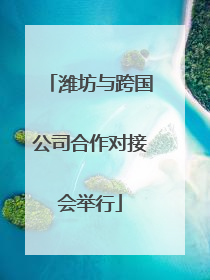 潍坊与跨国公司合作对接会举行