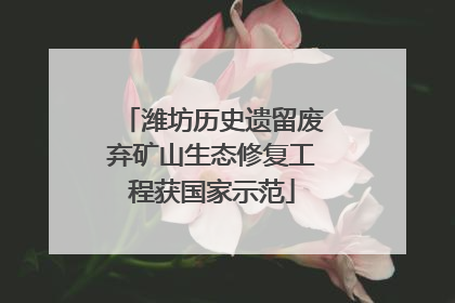 潍坊历史遗留废弃矿山生态修复工程获国家示范