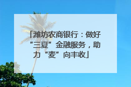 潍坊农商银行：做好“三夏”金融服务，助力“麦”向丰收