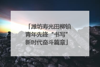 潍坊寿光田柳镇青年先锋“书写”新时代奋斗篇章