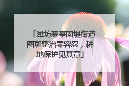 潍坊寒亭固堤街道图斑整治零容忍，耕地保护见真章