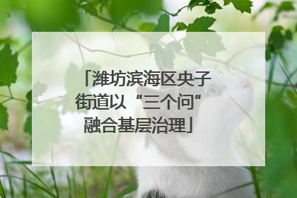 潍坊滨海区央子街道以“三个问”融合基层治理