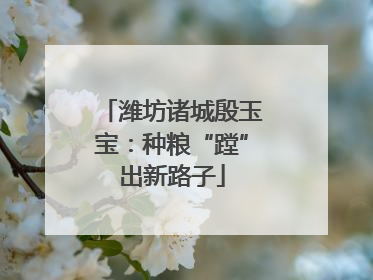 潍坊诸城殷玉宝：种粮“蹚”出新路子