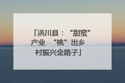 潢川县：“甜蜜”产业  “桃”出乡村振兴金路子