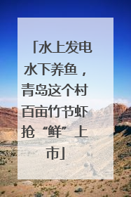 水上发电水下养鱼，青岛这个村百亩竹节虾抢“鲜”上市