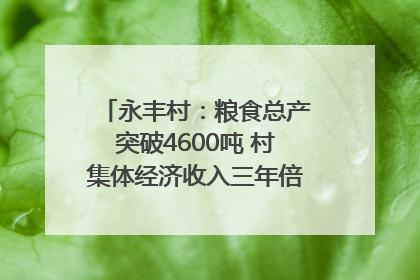 永丰村：粮食总产突破4600吨 村集体经济收入三年倍增｜牵挂的村