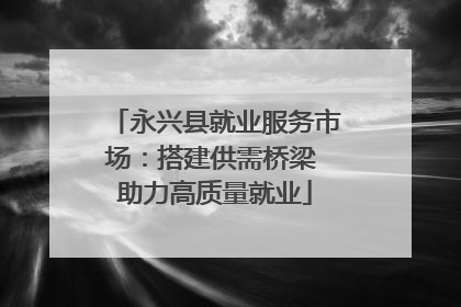 永兴县就业服务市场：搭建供需桥梁 助力高质量就业
