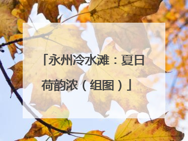 永州冷水滩：夏日荷韵浓（组图）