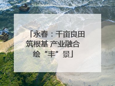 永春：千亩良田筑根基 产业融合绘“丰”景