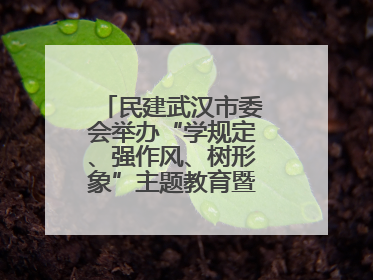 民建武汉市委会举办“学规定、强作风、树形象”主题教育暨参政议政能力素质提升培训班