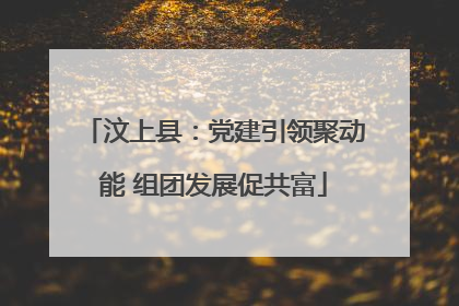 汶上县：党建引领聚动能 组团发展促共富