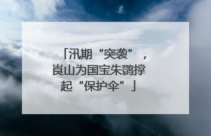 汛期“突袭”，崀山为国宝朱鹮撑起“保护伞”