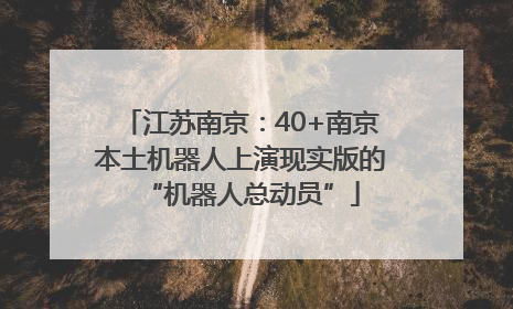 江苏南京：40+南京本土机器人上演现实版的“机器人总动员”