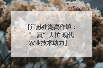 江苏建湖高作镇：“三夏”大忙 现代农业技术助力