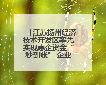 江苏扬州经济技术开发区率先实现惠企资金“秒到账” 企业点赞