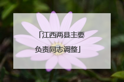 江西两县主要负责同志调整