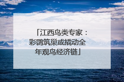 江西鸟类专家：彩鹮筑巢或撬动全年观鸟经济链