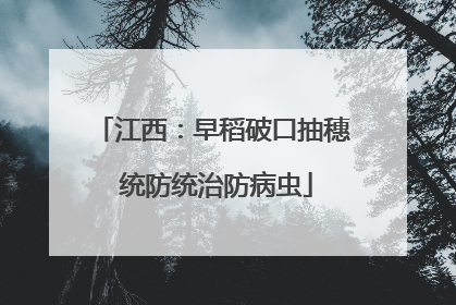 江西：早稻破口抽穗 统防统治防病虫