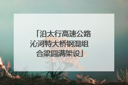 沿太行高速公路沁河特大桥钢混组合梁圆满架设