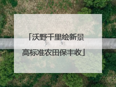沃野千里绘新景 高标准农田保丰收