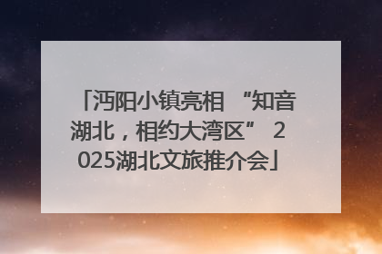 沔阳小镇亮相 “知音湖北，相约大湾区” 2025湖北文旅推介会