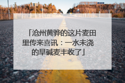 沧州黄骅的这片麦田里传来喜讯：一水未浇的旱碱麦丰收了