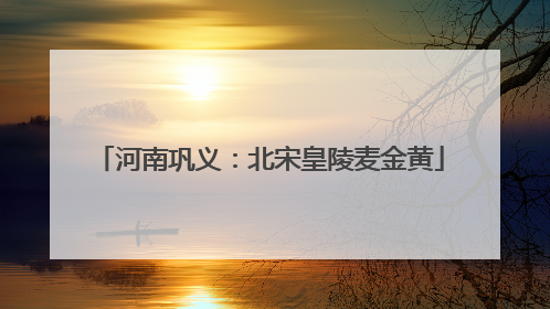 河南巩义：北宋皇陵麦金黄
