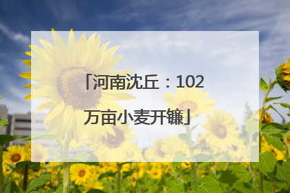 河南沈丘：102 万亩小麦开镰