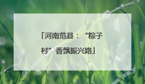 河南范县：“粽子村”香飘振兴路