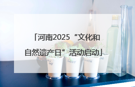 河南2025“文化和自然遗产日”活动启动