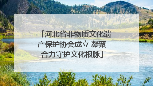河北省非物质文化遗产保护协会成立 凝聚合力守护文化根脉