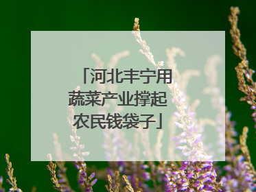 河北丰宁用蔬菜产业撑起农民钱袋子