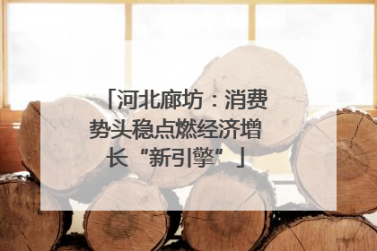 河北廊坊：消费势头稳点燃经济增长“新引擎”
