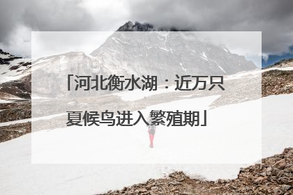 河北衡水湖：近万只夏候鸟进入繁殖期