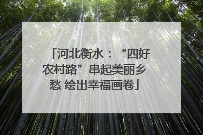 河北衡水：“四好农村路”串起美丽乡愁 绘出幸福画卷