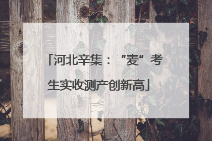 河北辛集：“麦”考生实收测产创新高