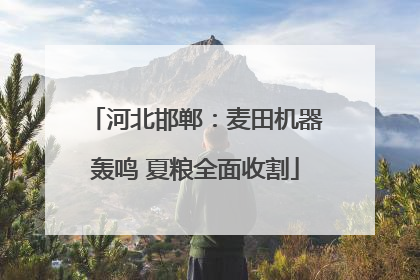 河北邯郸：麦田机器轰鸣 夏粮全面收割