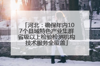 河北：确保年内107个县域特色产业集群省级以上检验检测机构技术服务全覆盖
