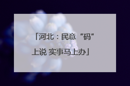 河北：民意“码”上说 实事马上办