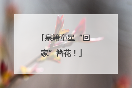 泉籍童星“回家”簪花！