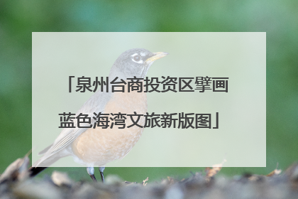 泉州台商投资区擘画蓝色海湾文旅新版图
