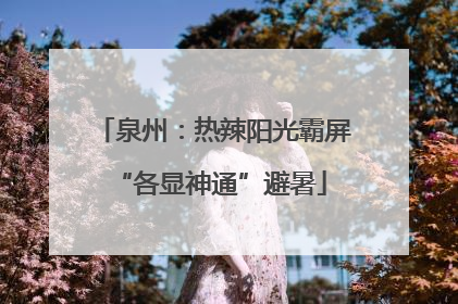 泉州：热辣阳光霸屏 “各显神通”避暑