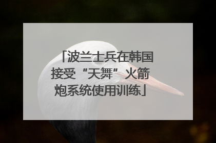 波兰士兵在韩国接受“天舞”火箭炮系统使用训练