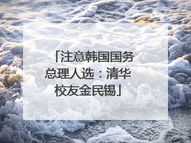 注意韩国国务总理人选：清华校友金民锡