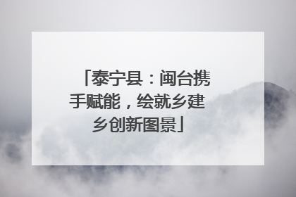 泰宁县：闽台携手赋能，绘就乡建乡创新图景