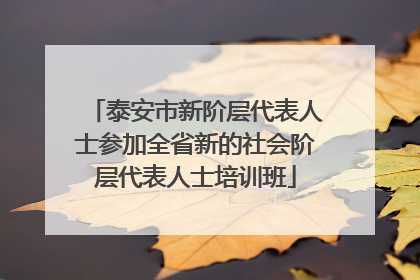泰安市新阶层代表人士参加全省新的社会阶层代表人士培训班